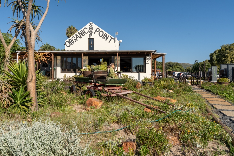 To Let commercial Property for Rent in Crofters Valley Western Cape